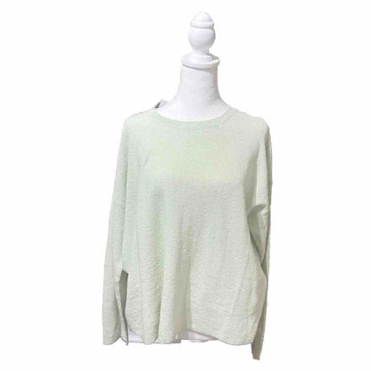 Eileen Fisher Women's Linen Blend Crewneck Long-Sleeve Top-Mist-Medium-New $258