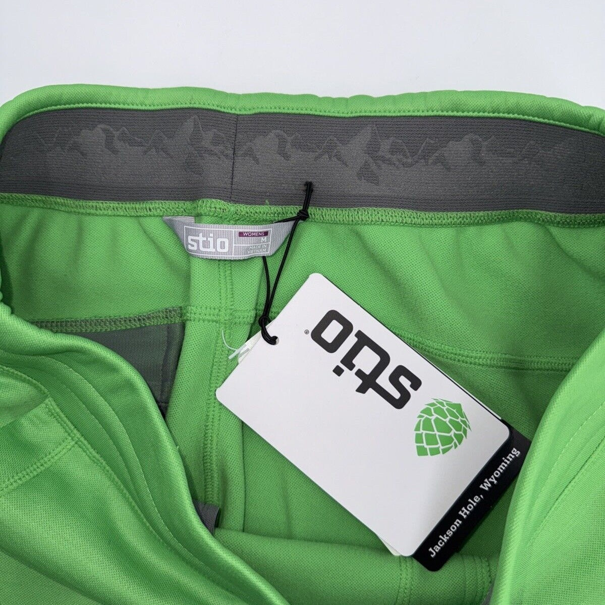 $138 Stio Women's Gannett Peak Fleece Pants-  Alpine Green- Medium- New Tags