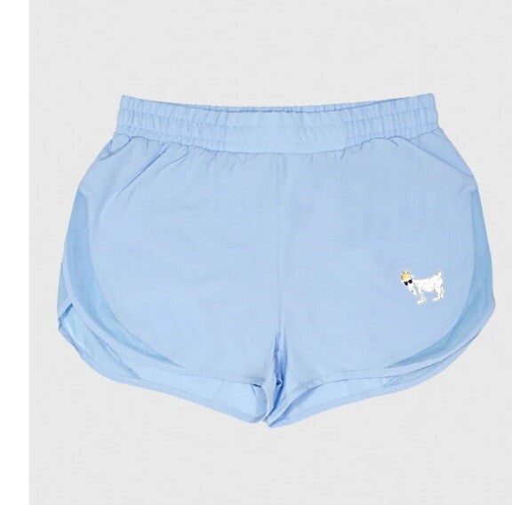 GOAT Women's Athletic Shorts- Carolina Blue - Large  NWT