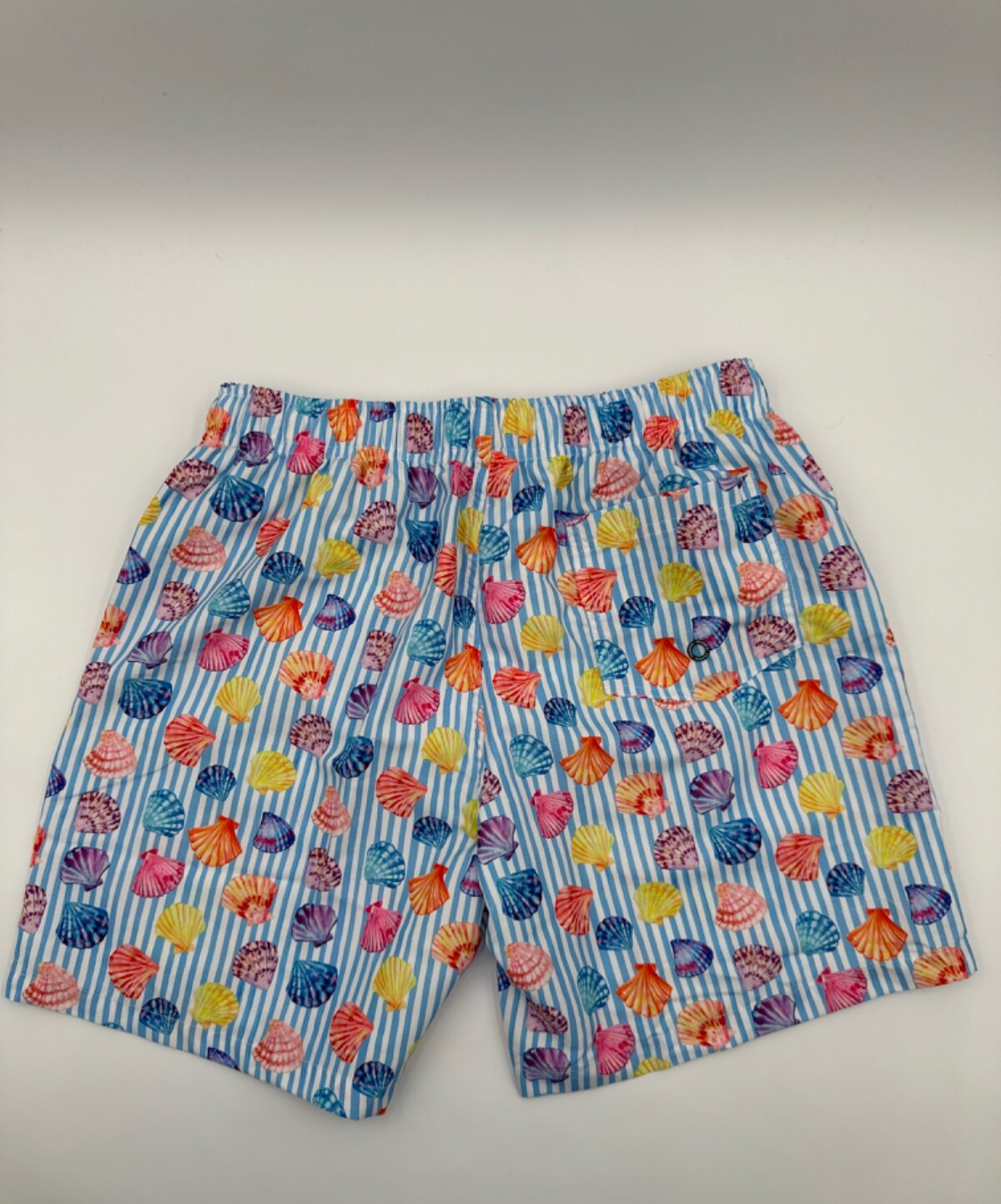 $80 Franks Men’s  6” Swim Shorts - Beachcomber Stripe- Medium- New with Tag